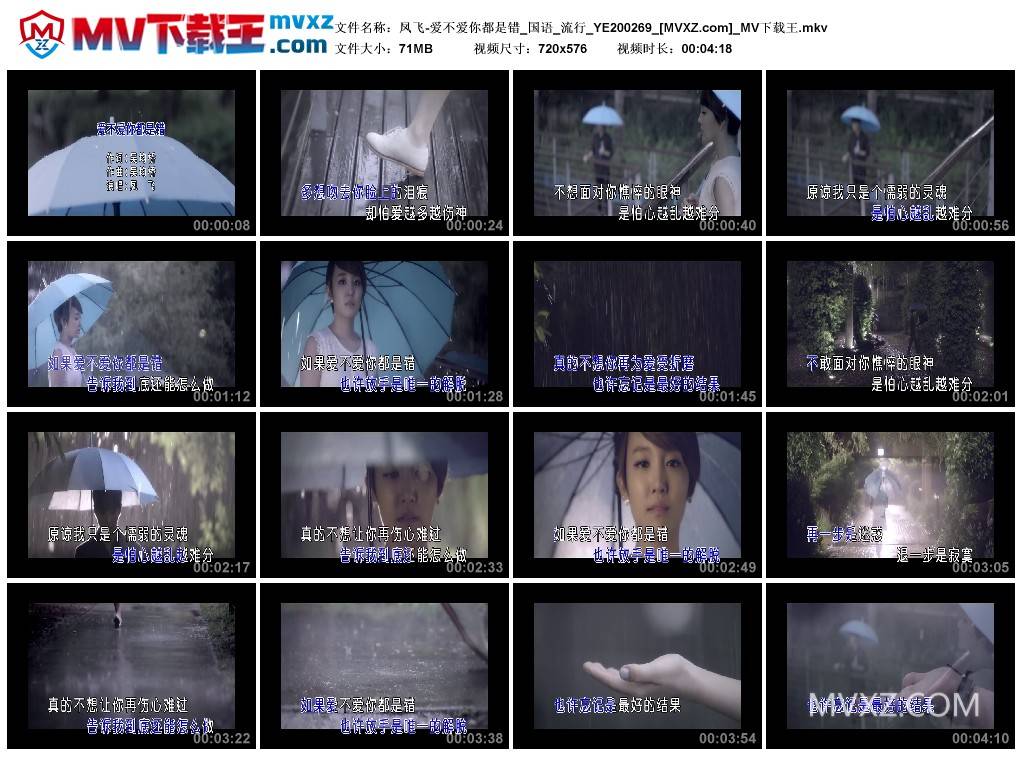 凤飞-爱不爱你都是错_国语_流行_YE200269
